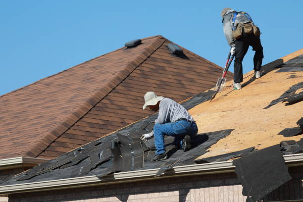 Best Roof Coating Services  in USA